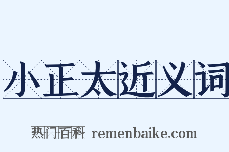 小正太近义词是什么意思的图片